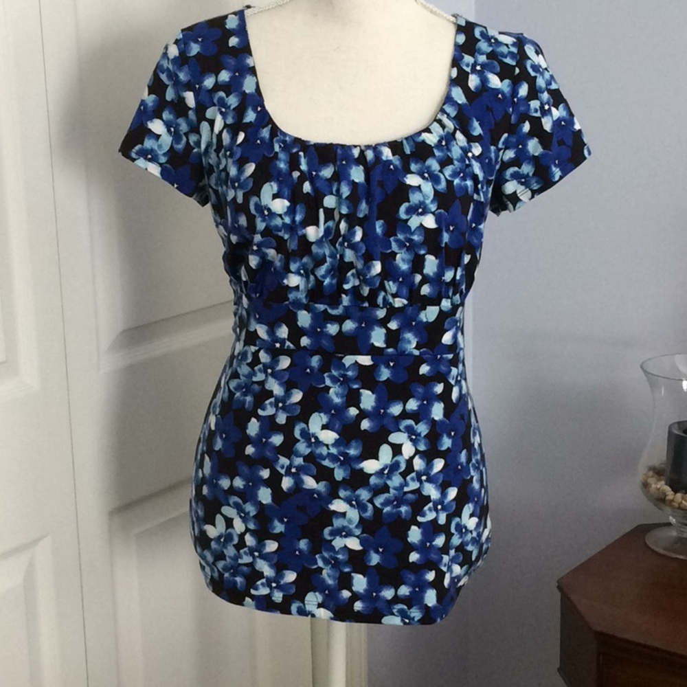 Ann Taylor Cute top with pleated top front